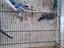 Immagine 3