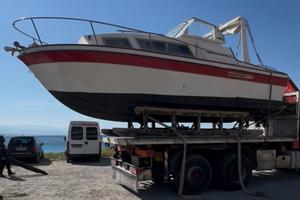 Cigala & Bertinetti Narvalo 25