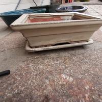 7 Vasi bonsai di varie dimensioni in terracotta