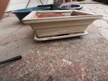 7 Vasi bonsai di varie dimensioni in terracotta