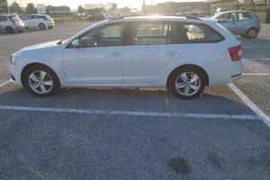Skoda Octavia sw 1.6tdi 115cv 