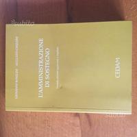 L'amministrazione di sostegno