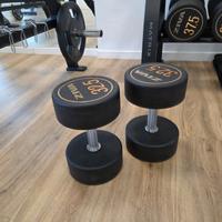 Manubri per palestra