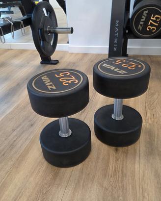 Manubri per palestra