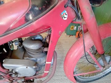 Motorino Caproni Capriolo 75