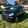 fiat-panda-1-0-hybrid-unipro-neopa-