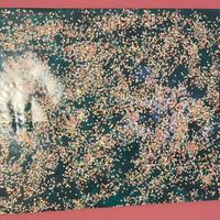 Tano Festa coriandoli