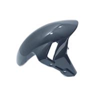 PARAFANGO ANTERIORE CARBONIO BMW S1000R RR M1000R 