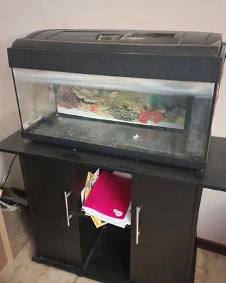 acquario