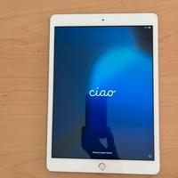 Ipad (7th Generation) 128 GB
