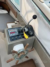 Saga 20