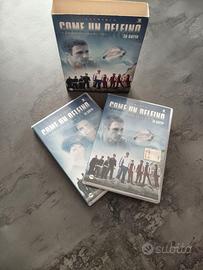 2 dvd della serie tv come un delfino