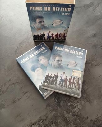 2 dvd della serie tv come un delfino