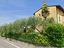 Immagine 7