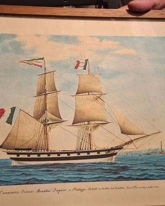 Stampe di velieri e altre imbarcazioni a colori
