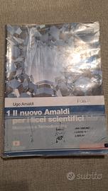 il nuovo amaldi per i licei scientifici 1