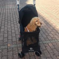 Passeggino per cani/gatti (piccola taglia)