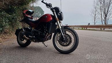 Benelli leoncino 500 trail
