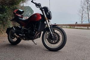 Benelli leoncino 500 trail