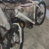 bicicletta mountain bike