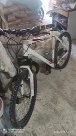 bicicletta mountain bike
