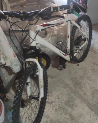 bicicletta mountain bike