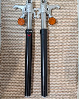 Forcelle Brutale / Dragster 800 2013 -2026