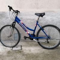 bicicletta mountain bike