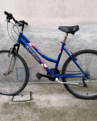 bicicletta mountain bike