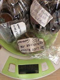 Monete miste come da foto peso sul bilancia