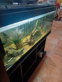 acquario 270 litri
