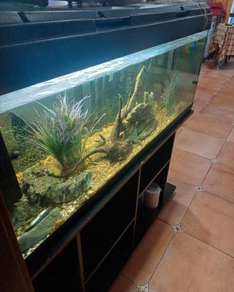 acquario 270 litri