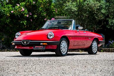 Alfa Romeo 1.6 Spider “Duetto” Serie III Aerodinam