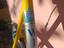 Immagine 2