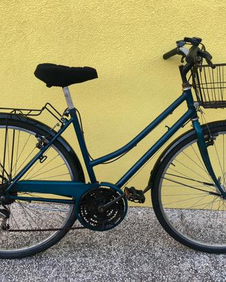 Bicicletta con cestino