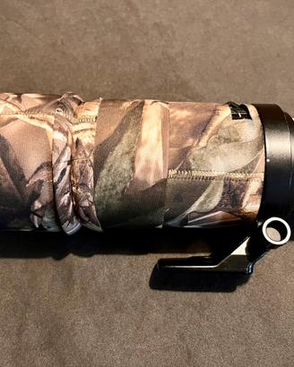 Nikon AF-S 300mm f/4 D ED