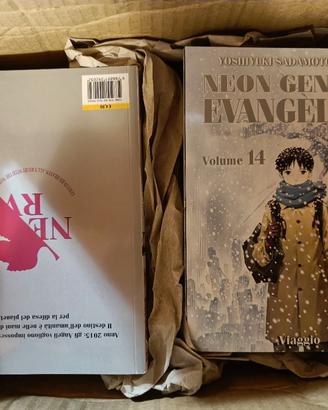 Evangelion collection 1-14 completa