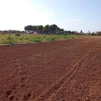 Terreno agricolo Squinzano direz.Casalabate_(Le)