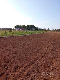 Terreno agricolo Squinzano direz.Casalabate_(Le)