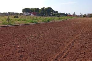 Terreno agricolo Squinzano direz.Casalabate_(Le)