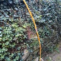arco storico in Osage orange 