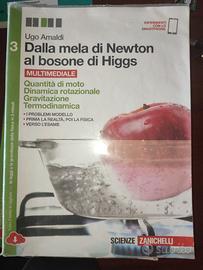 Dalla mela di Newton al Bosone - 9788808337405