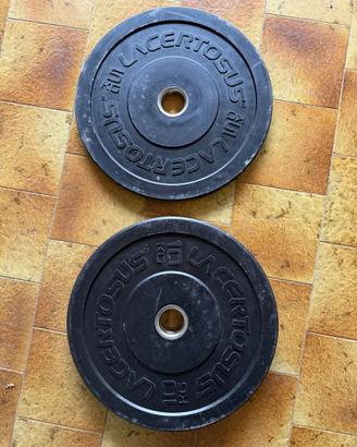 Set Dischi Bumper Lacertosus 30kg (2x10kg + 2x5kg)