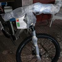 mountain bike elettrica 