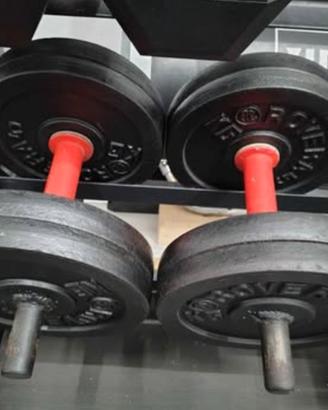 2 manubri da 20kg luno