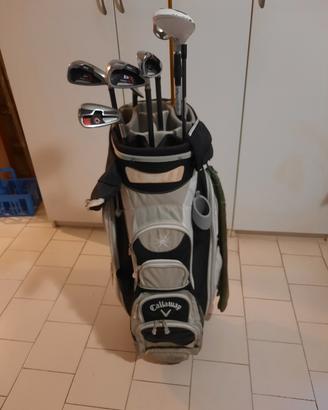 Sacca da golf con ferri, borsa viaggio e palline