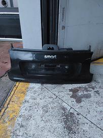 PORTELLONE COFANO POSTERIORE SMART FORTWO 14-21 3P