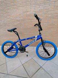 BMX vintage anni 90/2000  marca Regina
