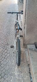 Bicicletta
