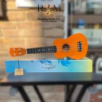 Ukulele soprano SOUNDSATION SUNNY 10-OR MAUI Sunny